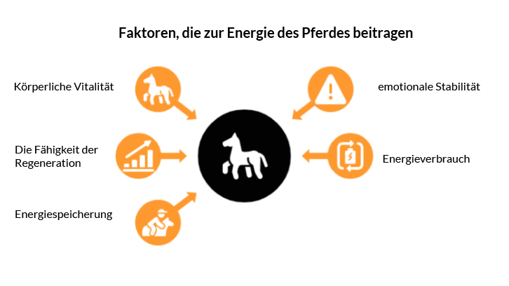 Faktor Energie Pferd